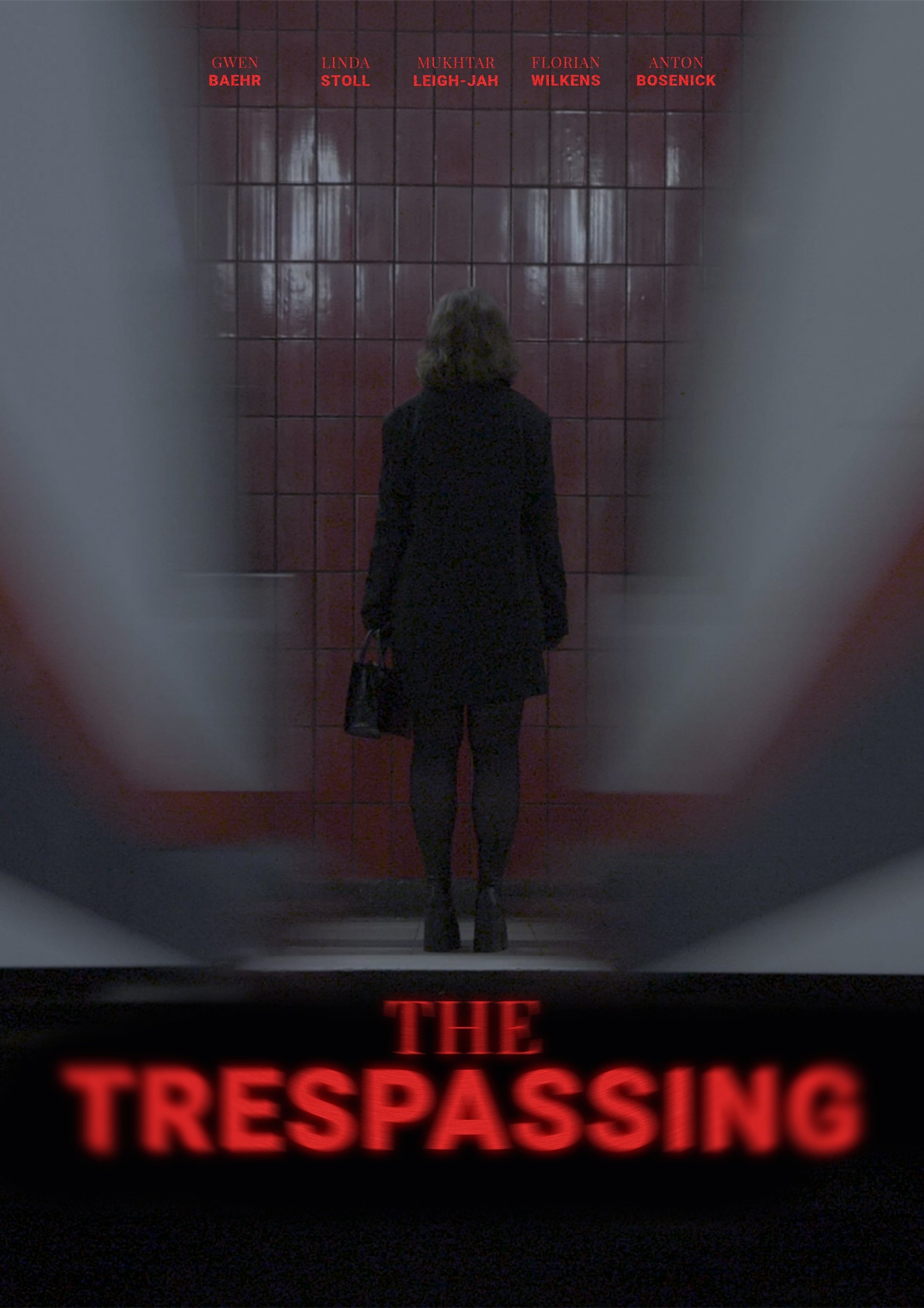 Poster de The Trespassing