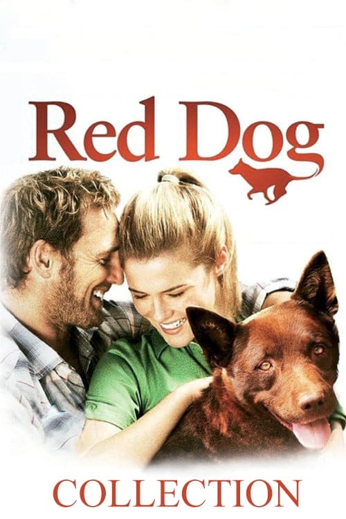 Fiche et filmographie de Red Dog Collection