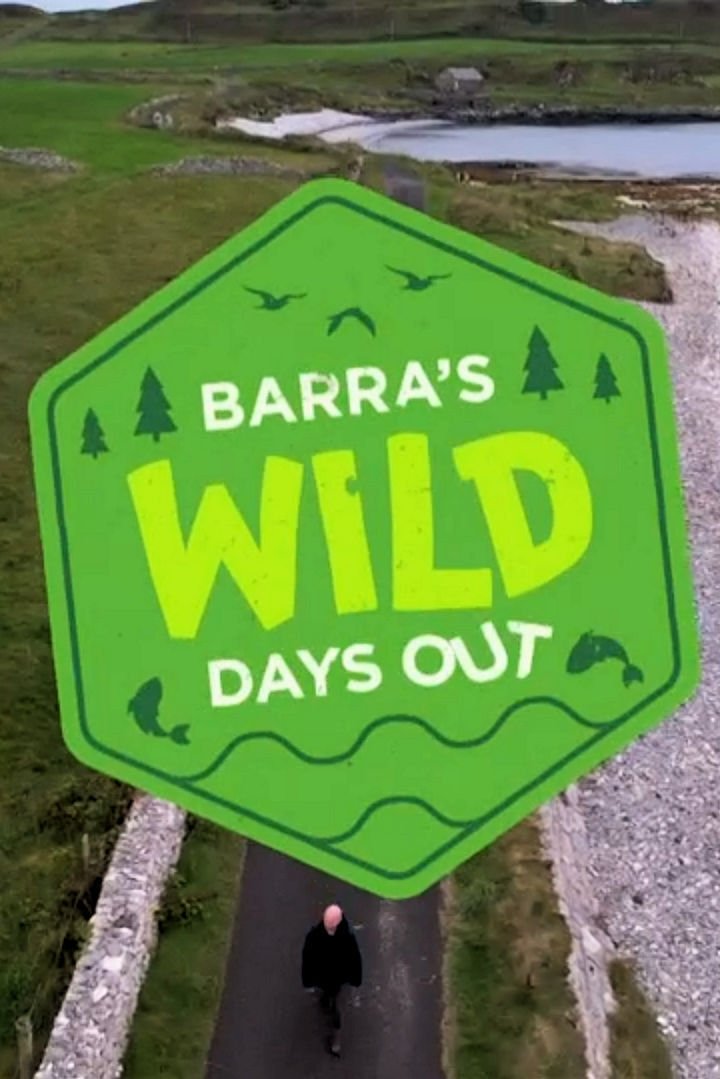 Poster de Barra's Wild Days Out