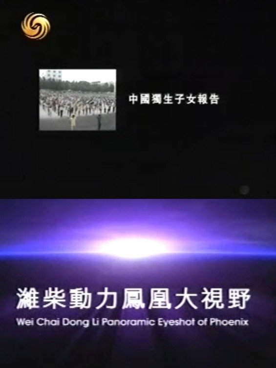 Poster de 凤凰大视野:中国独生子女报告