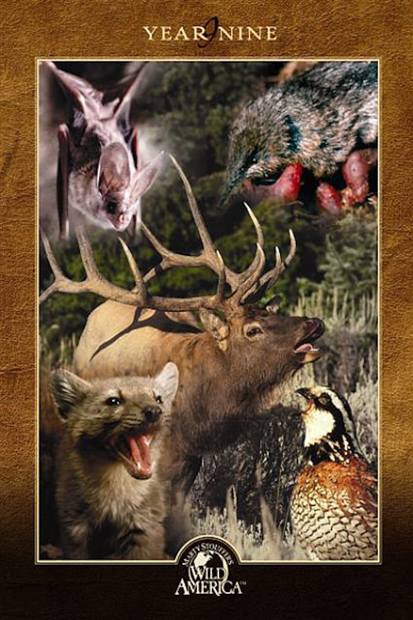 Poster de Temporada 9