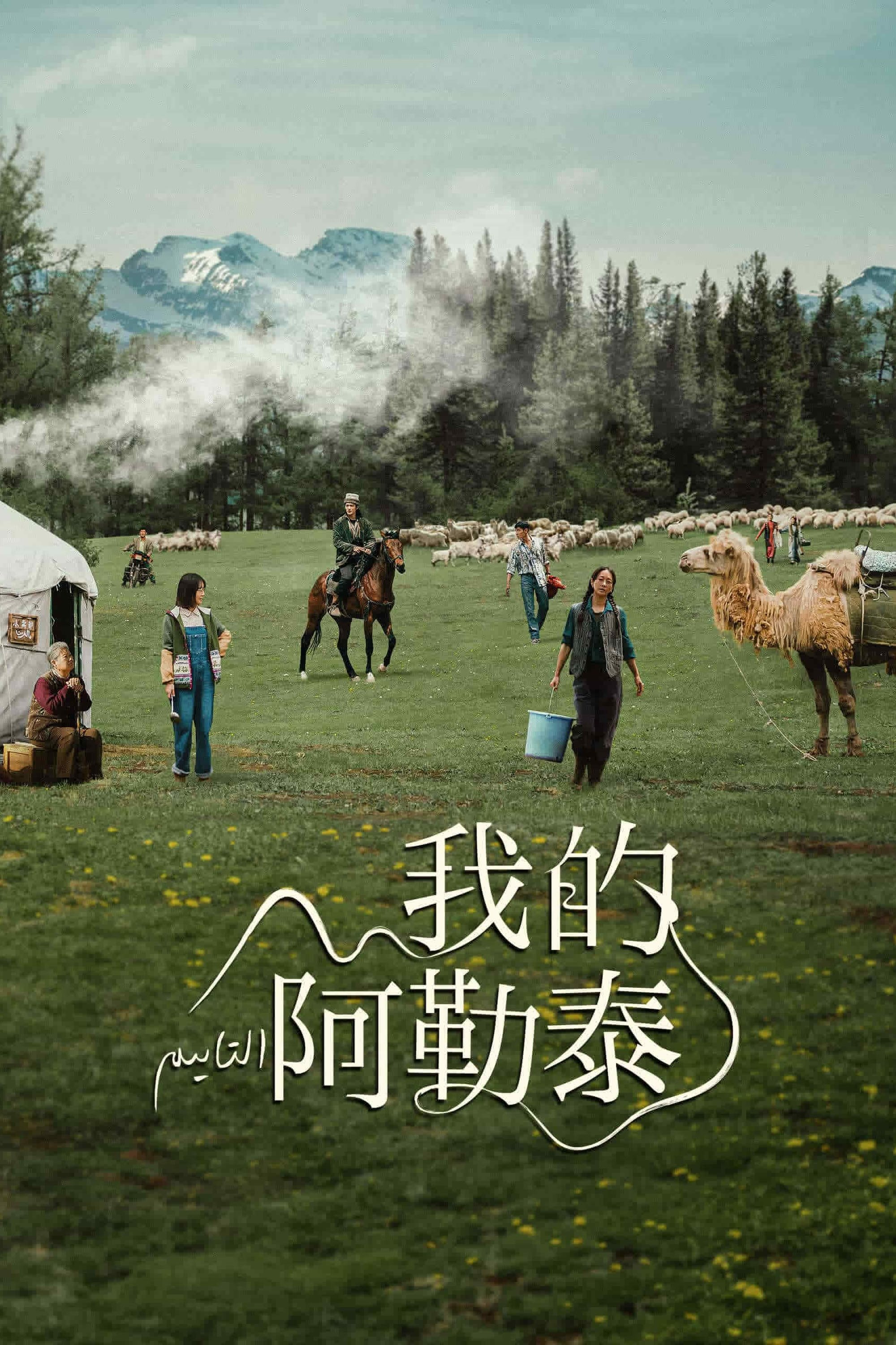 Poster de 我的阿勒泰