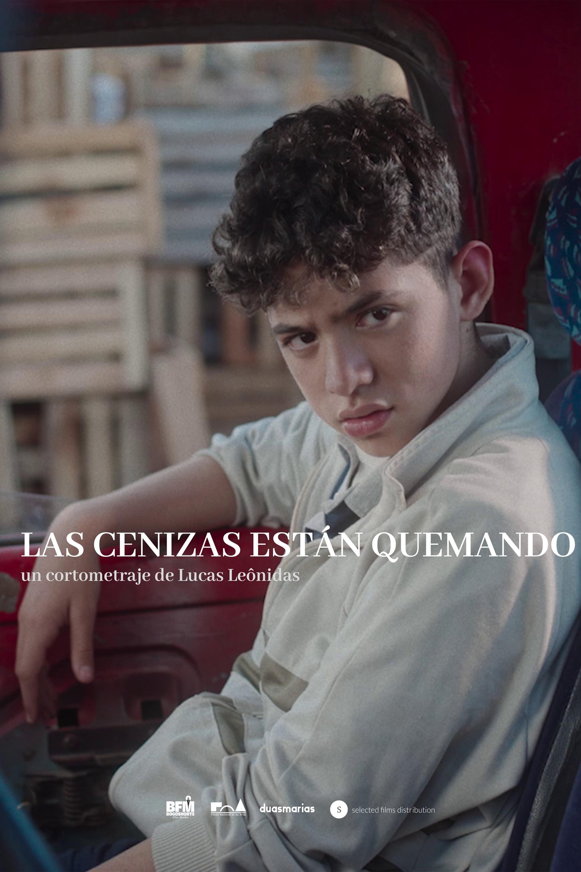 Poster de Las Cenizas Están Quemando