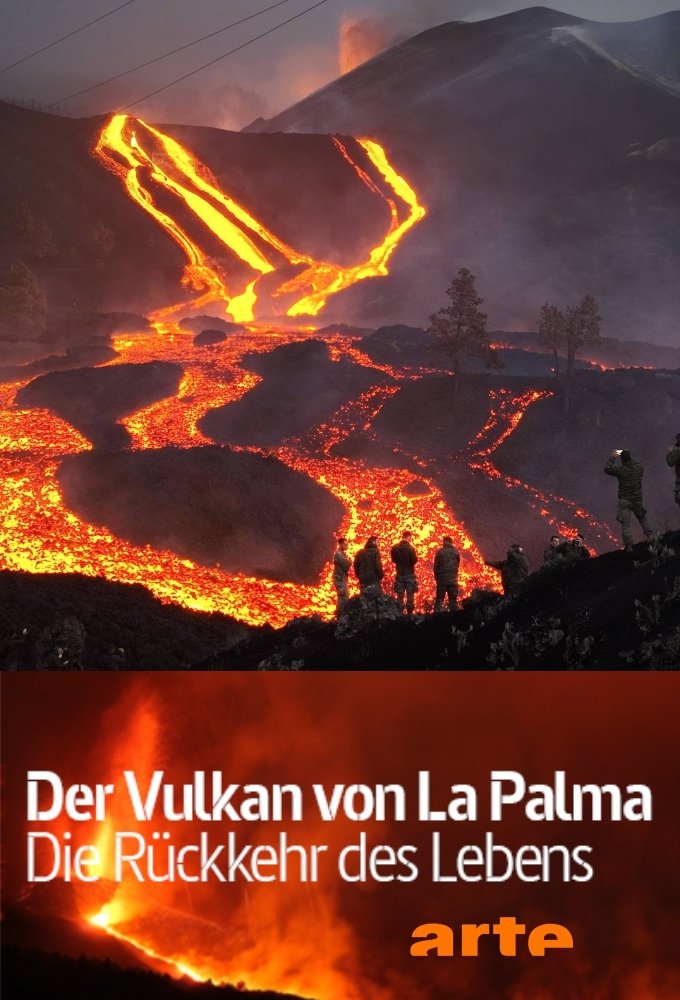 Poster de Der Vulkan von La Palma - Die Rückkehr des Lebens