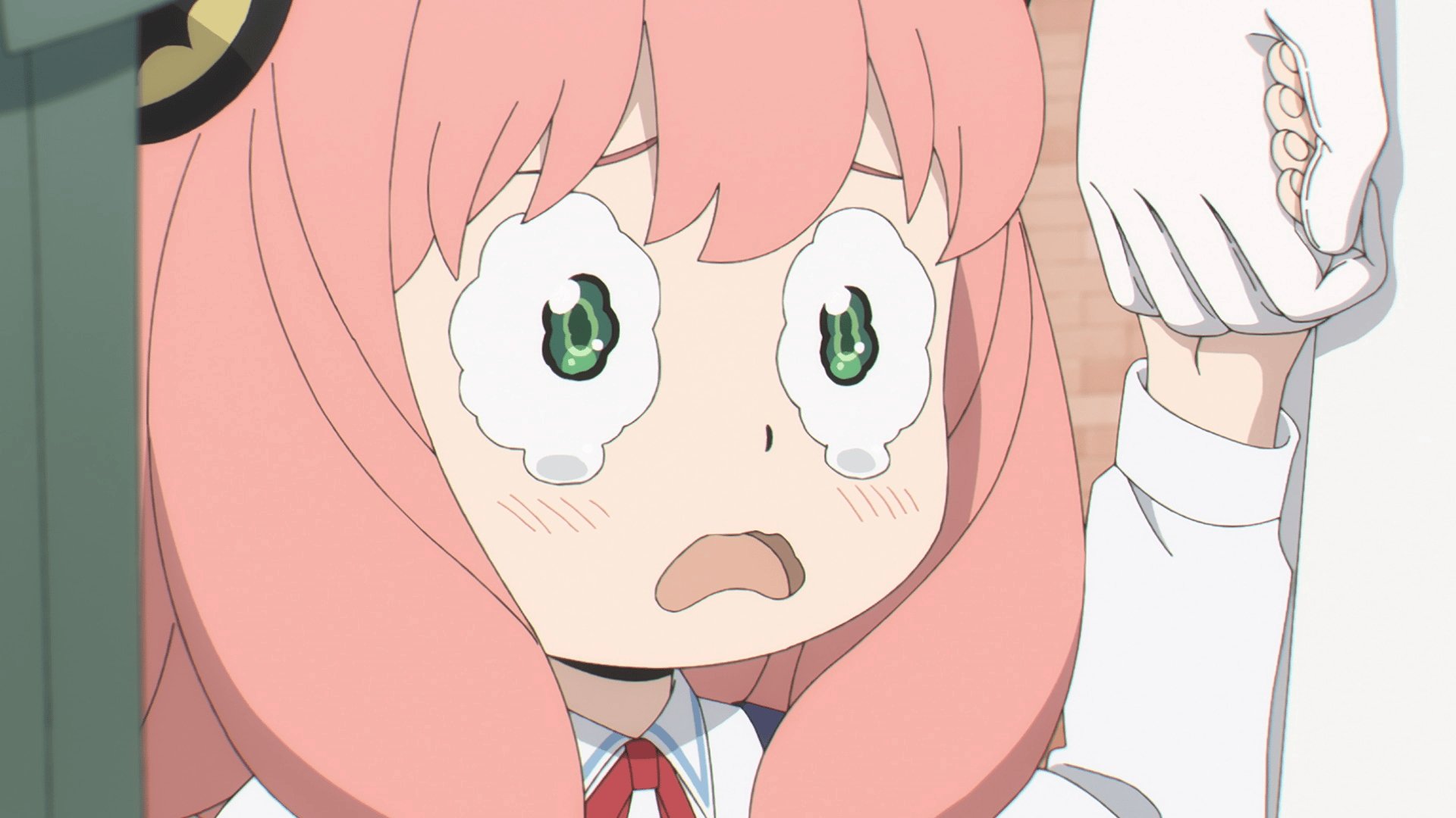 WILL THEY PASS OR FAIL?