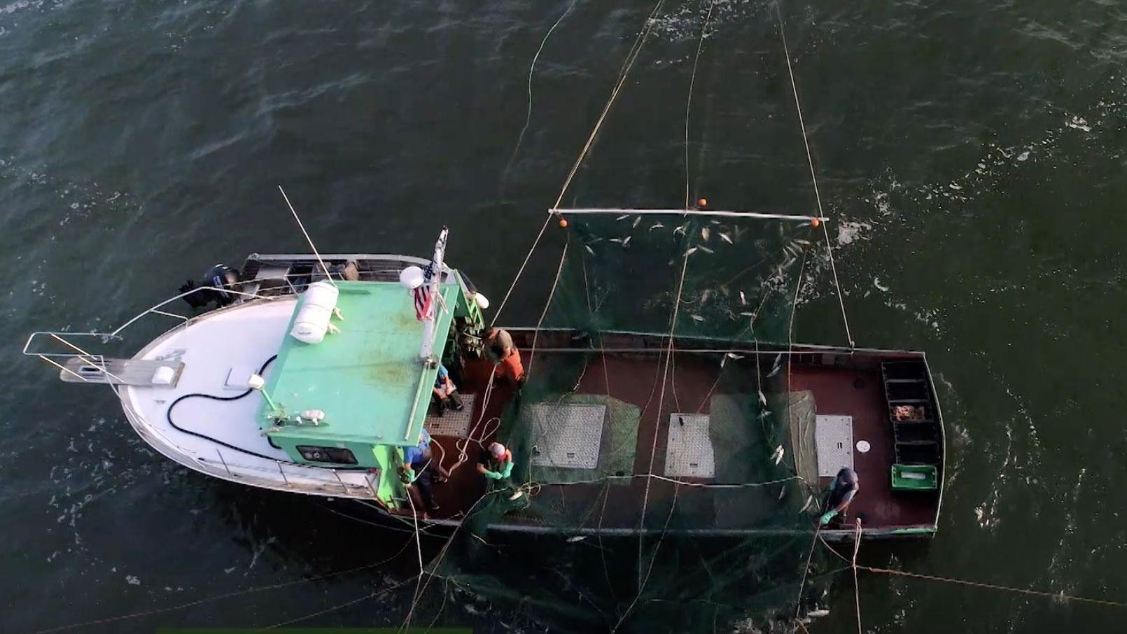 Door County Underground | Hidden Acres Farm