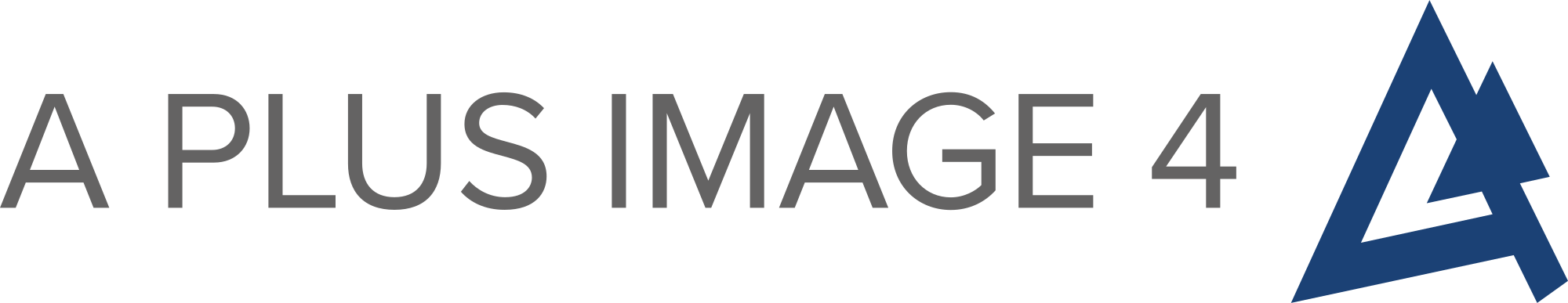 A Plus Image 4