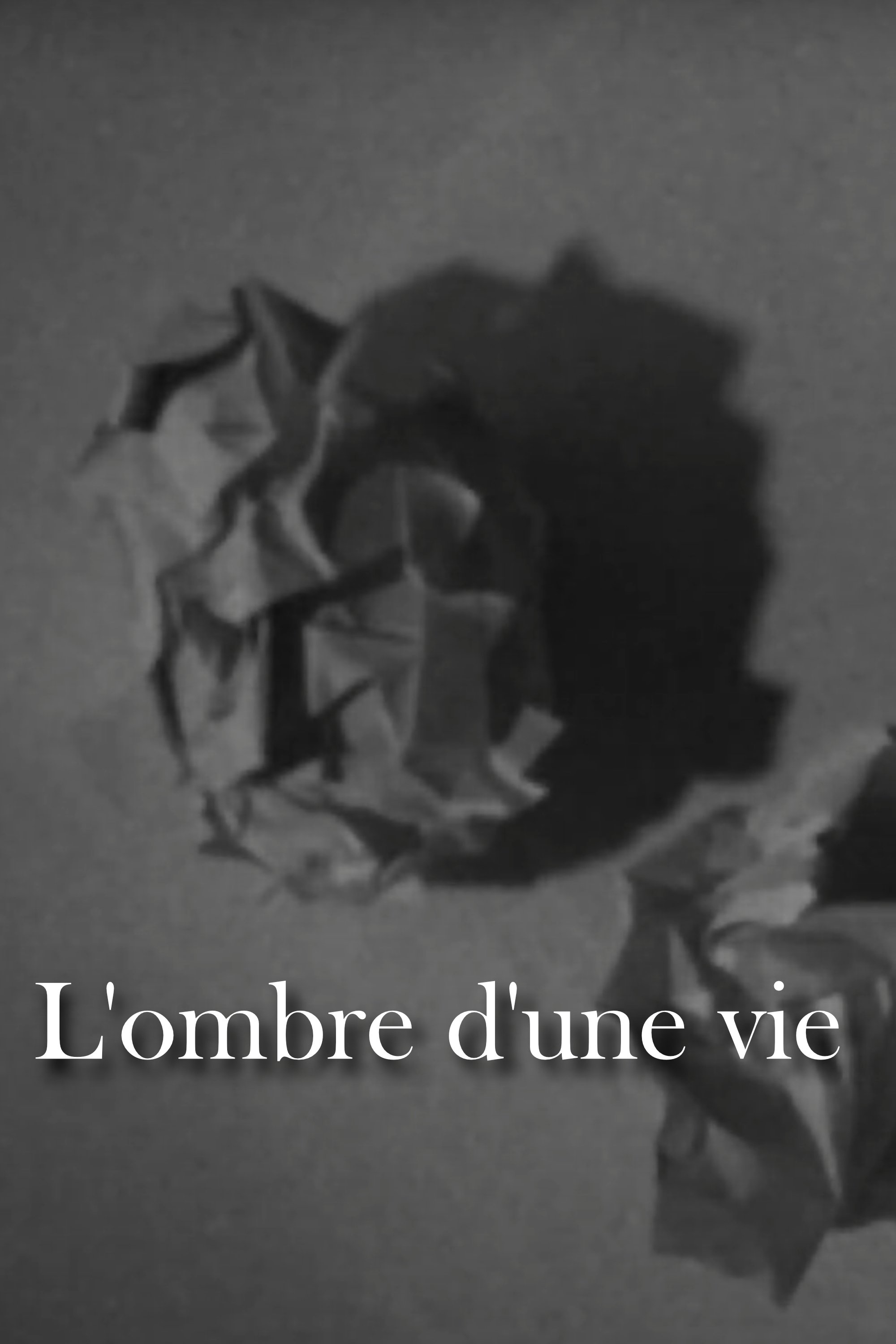 https://image.tmdb.org/t/p/original//p7jnk2e1kG3XrmlXahZXxfHmOjA.jpg