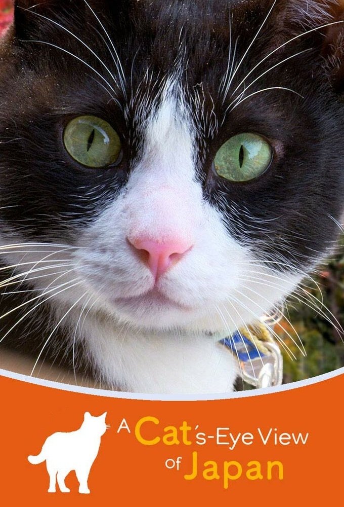 Poster de A Cat's-Eye View of Japan