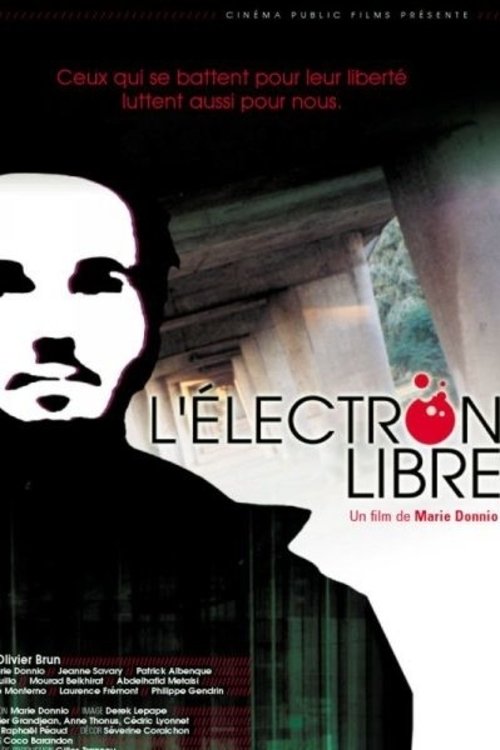 Affiche du film L'électron libre