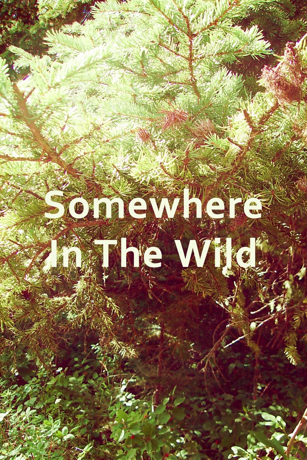 Poster de Somewhere in the Wild