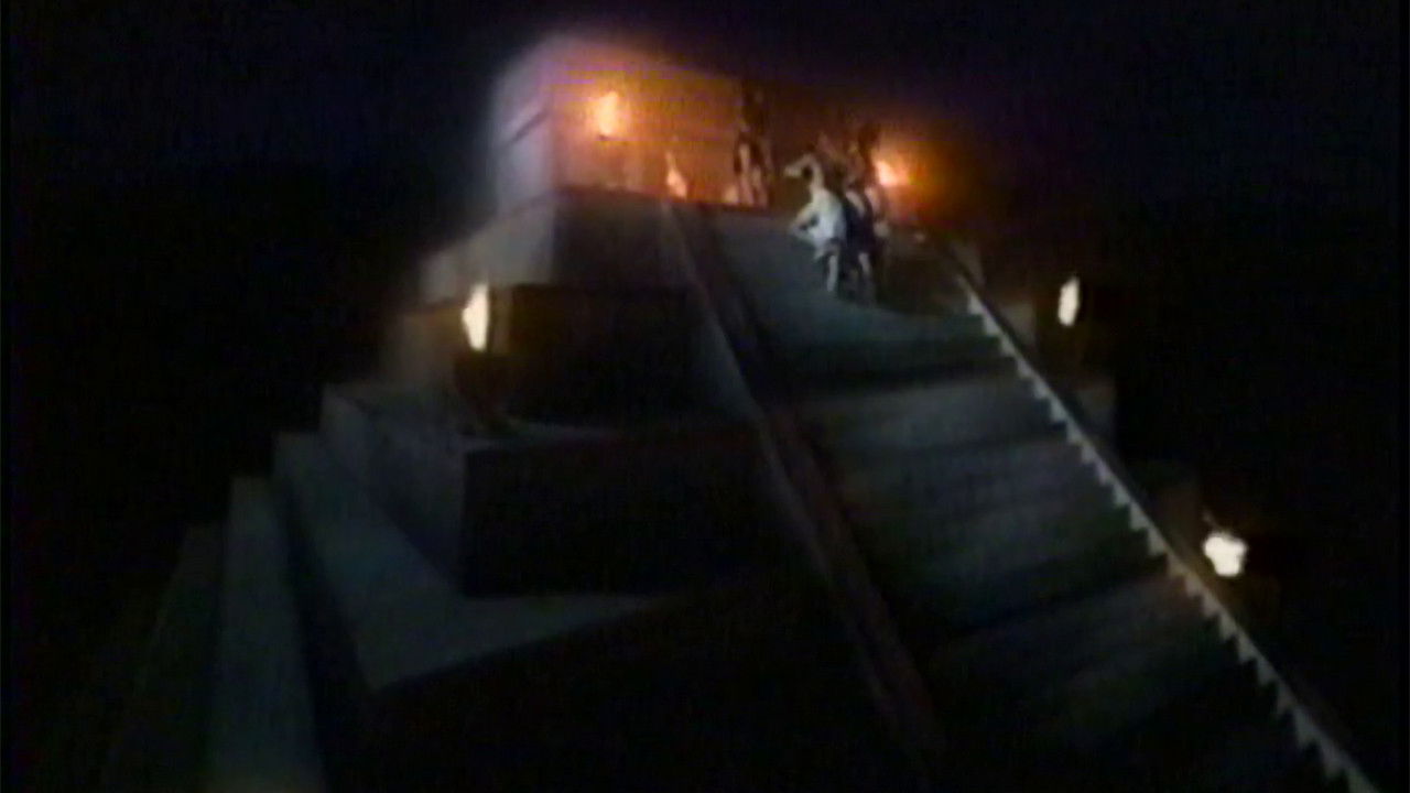 Creatures of the Night