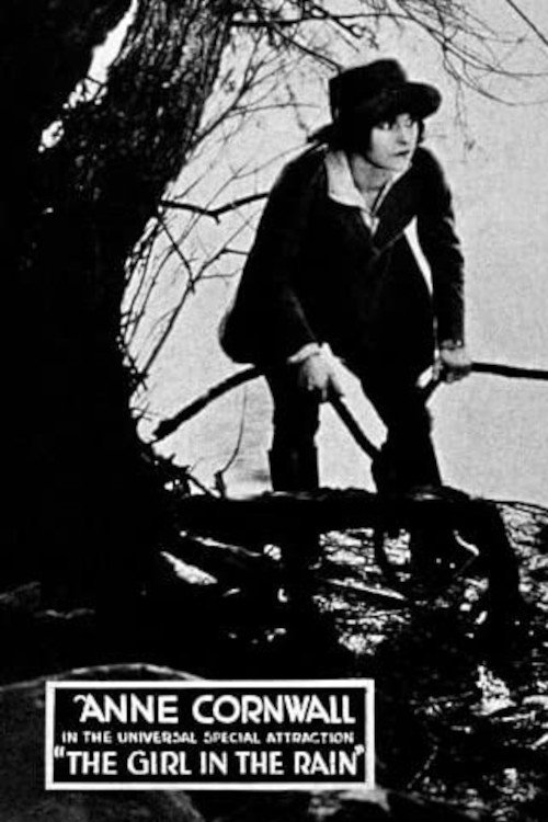 Poster de The Girl in the Rain