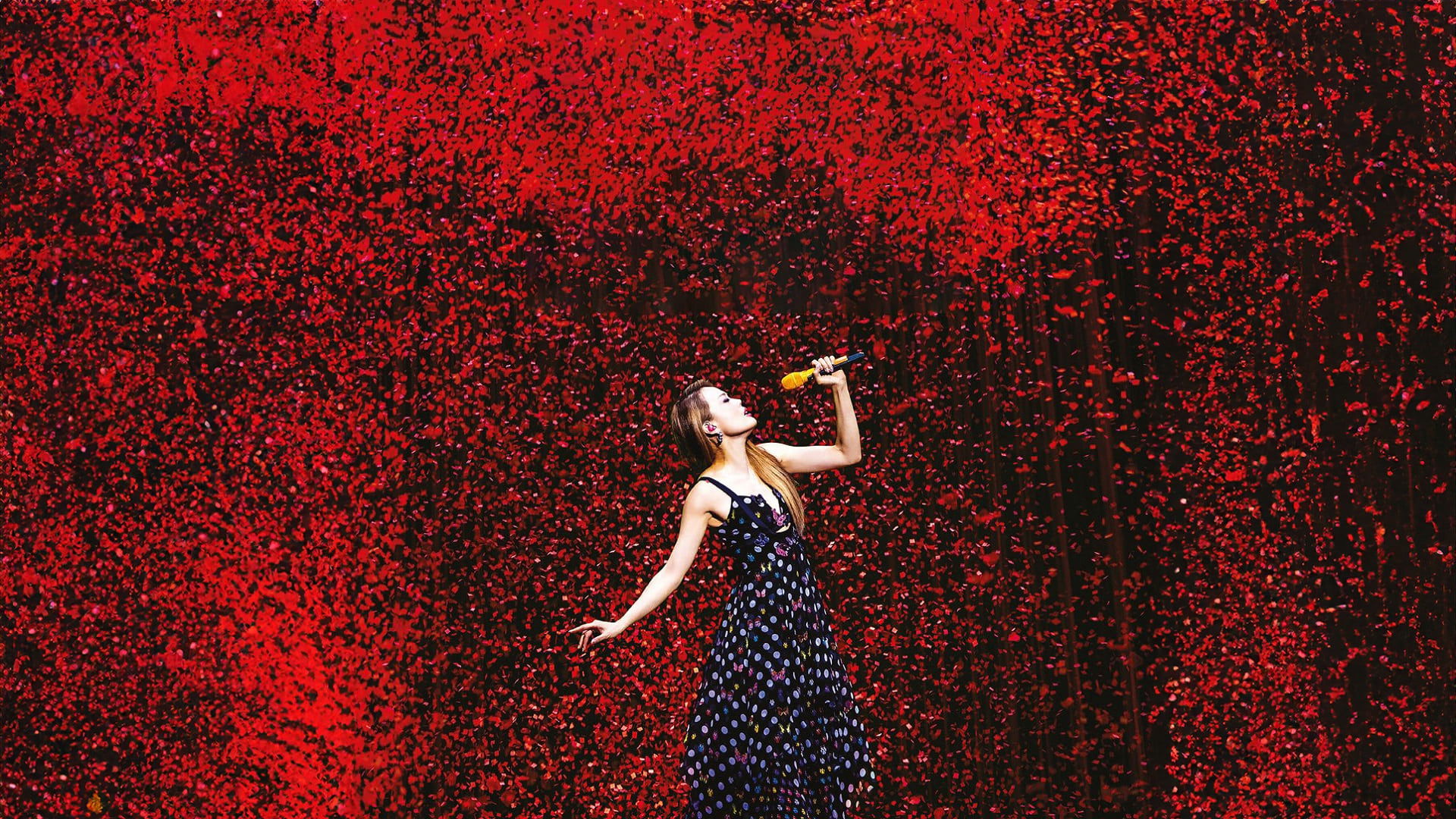 Backdrop