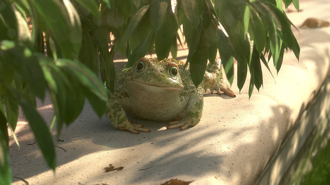 Image 4