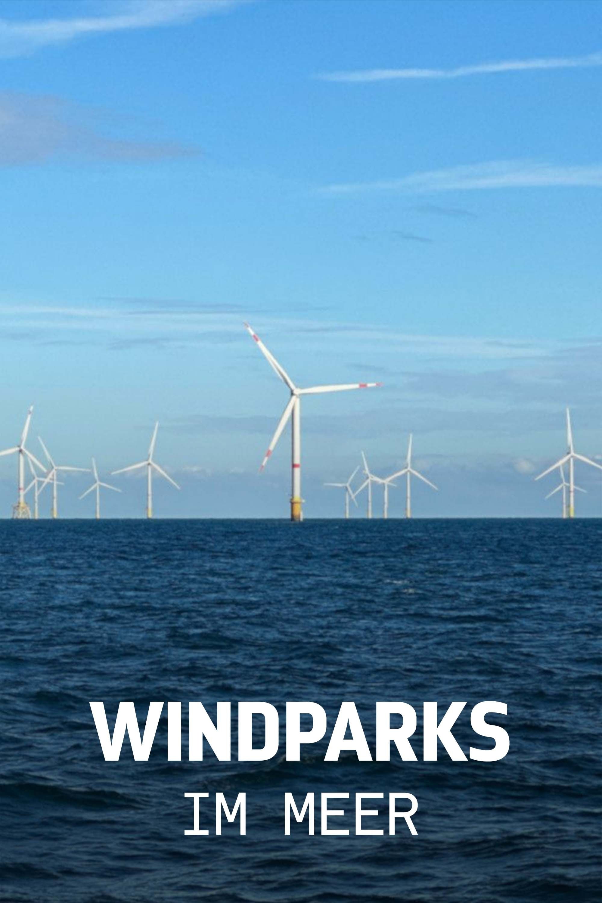 Poster de Windparks im Meer - Chance oder Risiko für die Natur?