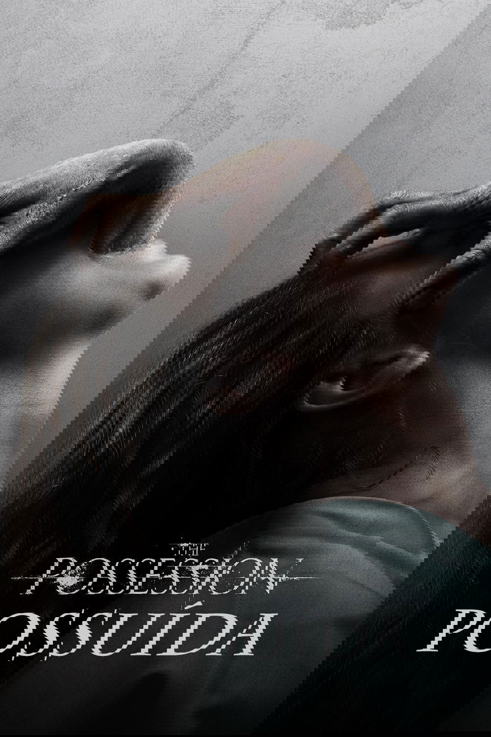 Poster de Possessão