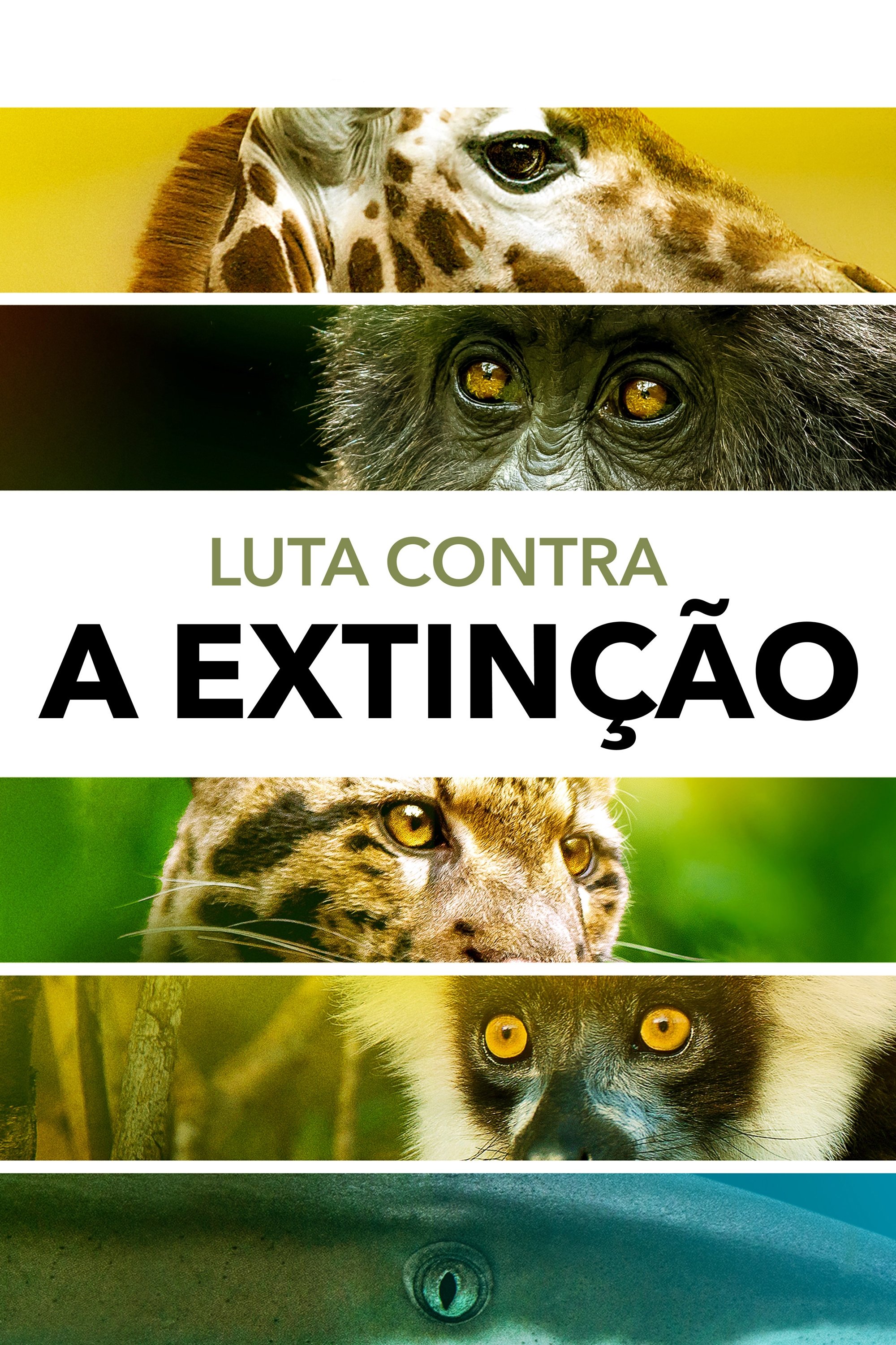 Poster de Luta Contra a Extinção