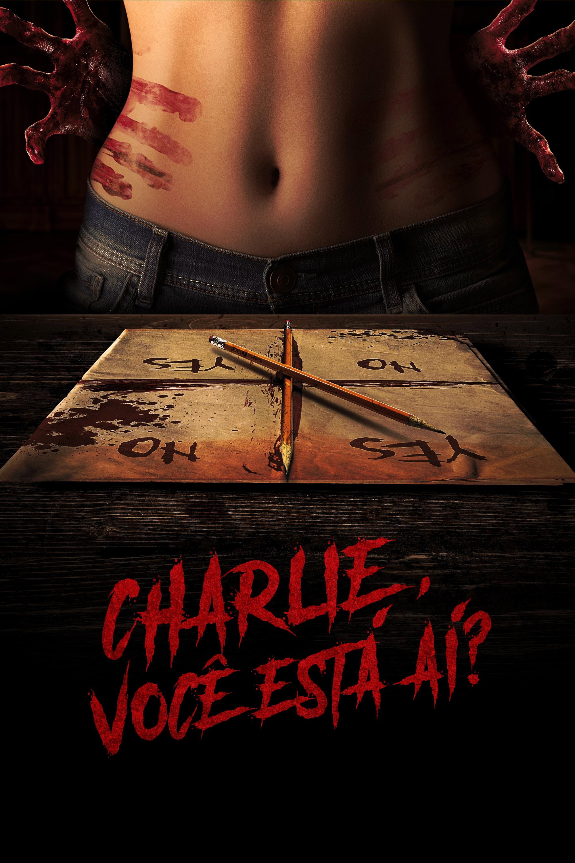 Poster de Charlie, Você Está Aí?