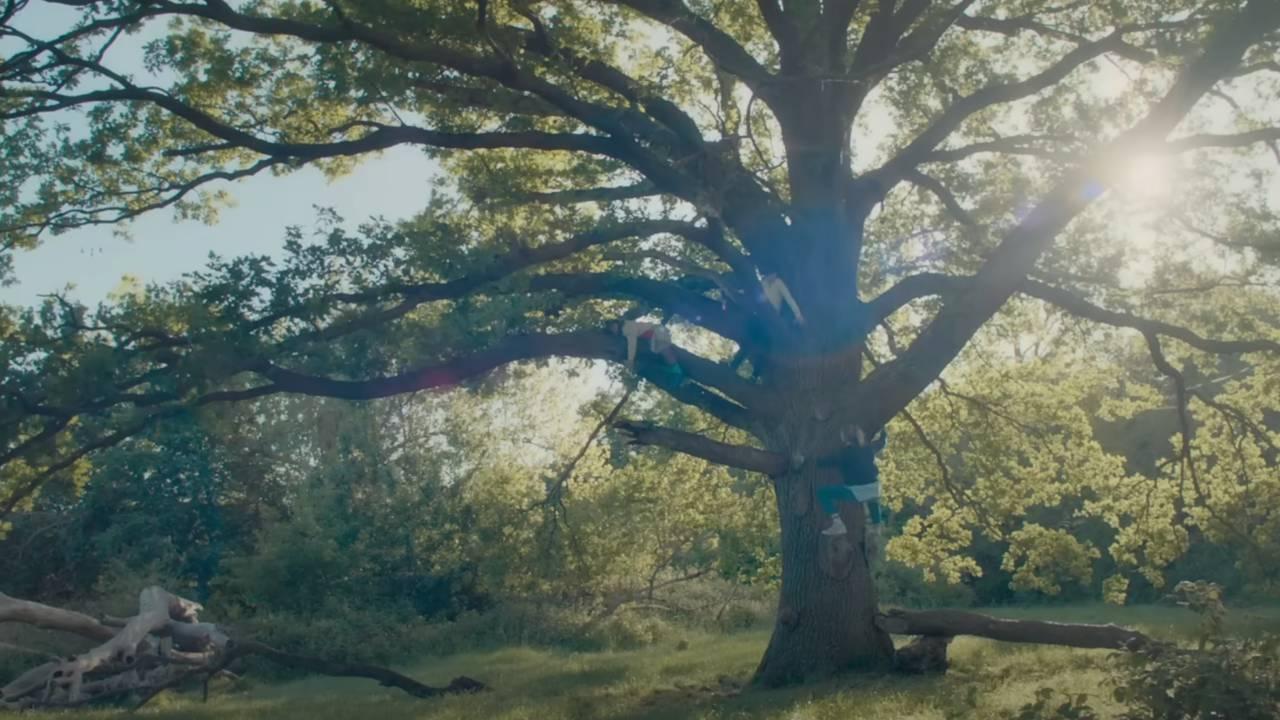 Backdrop image
