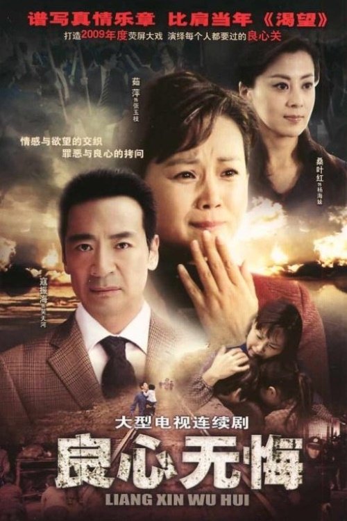 Poster de 良心无悔