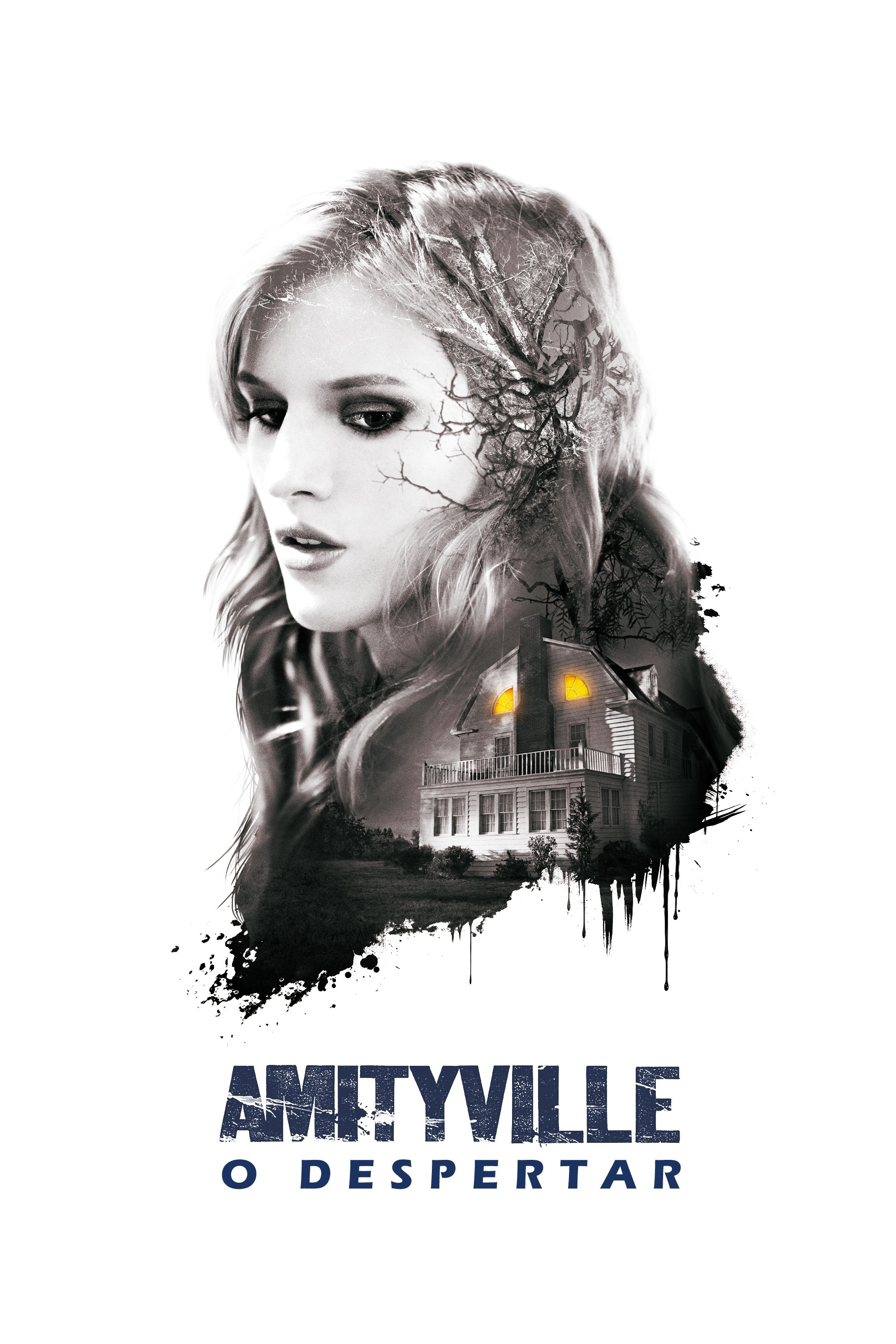 Poster de Amityville: O Despertar
