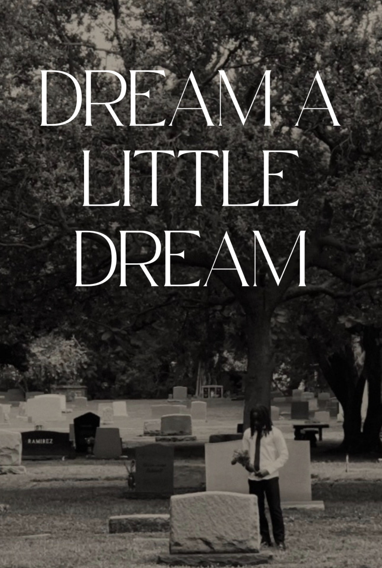 Dream a Little Dream