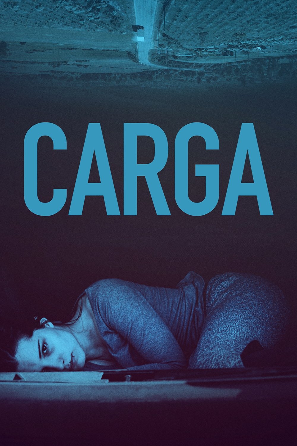 Poster de A Carga