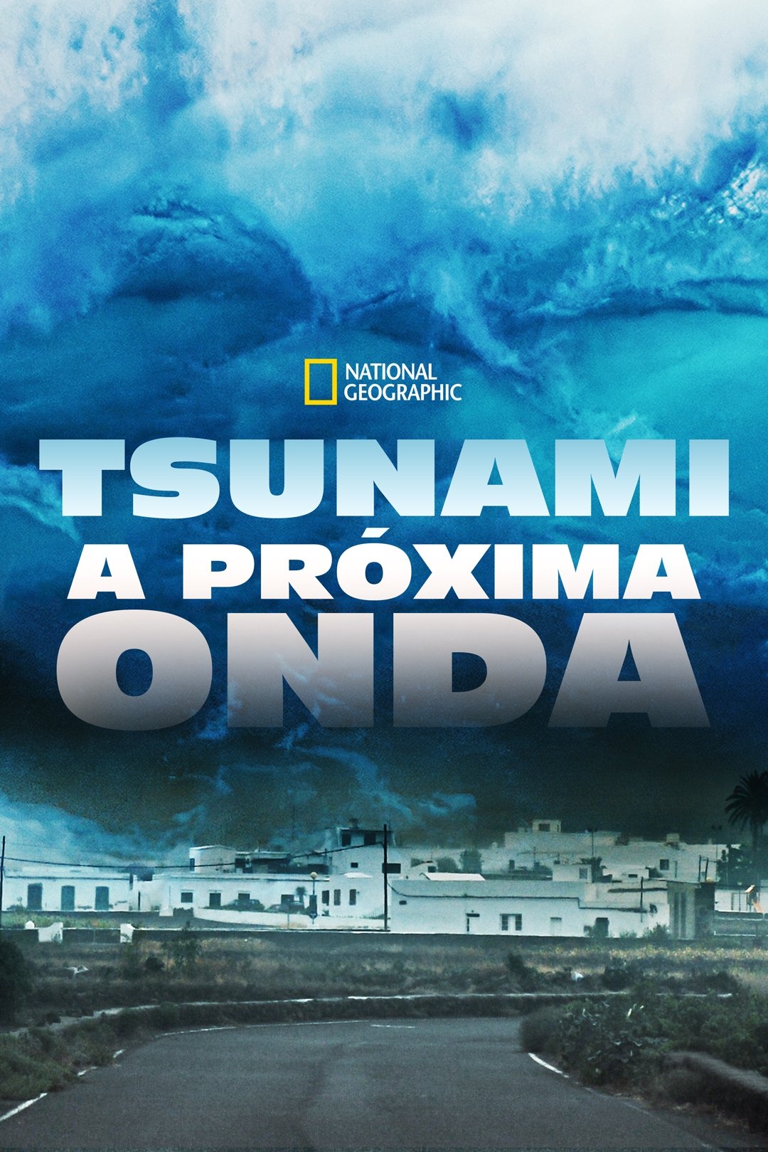 Poster de Tsunami: A Próxima Onda