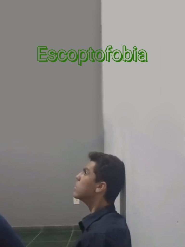 Poster de Escoptofobia