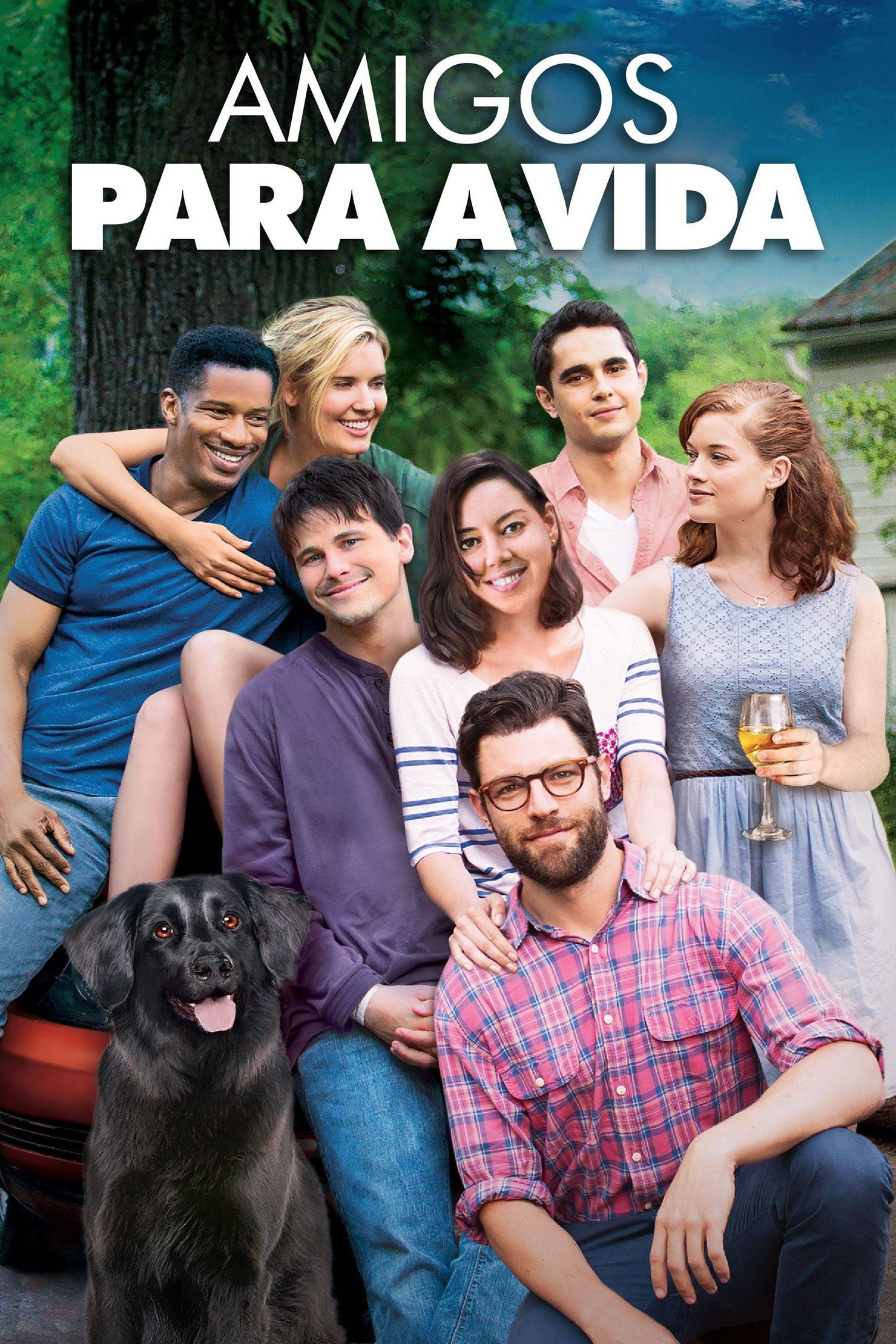 Poster de Amigos Para a Vida