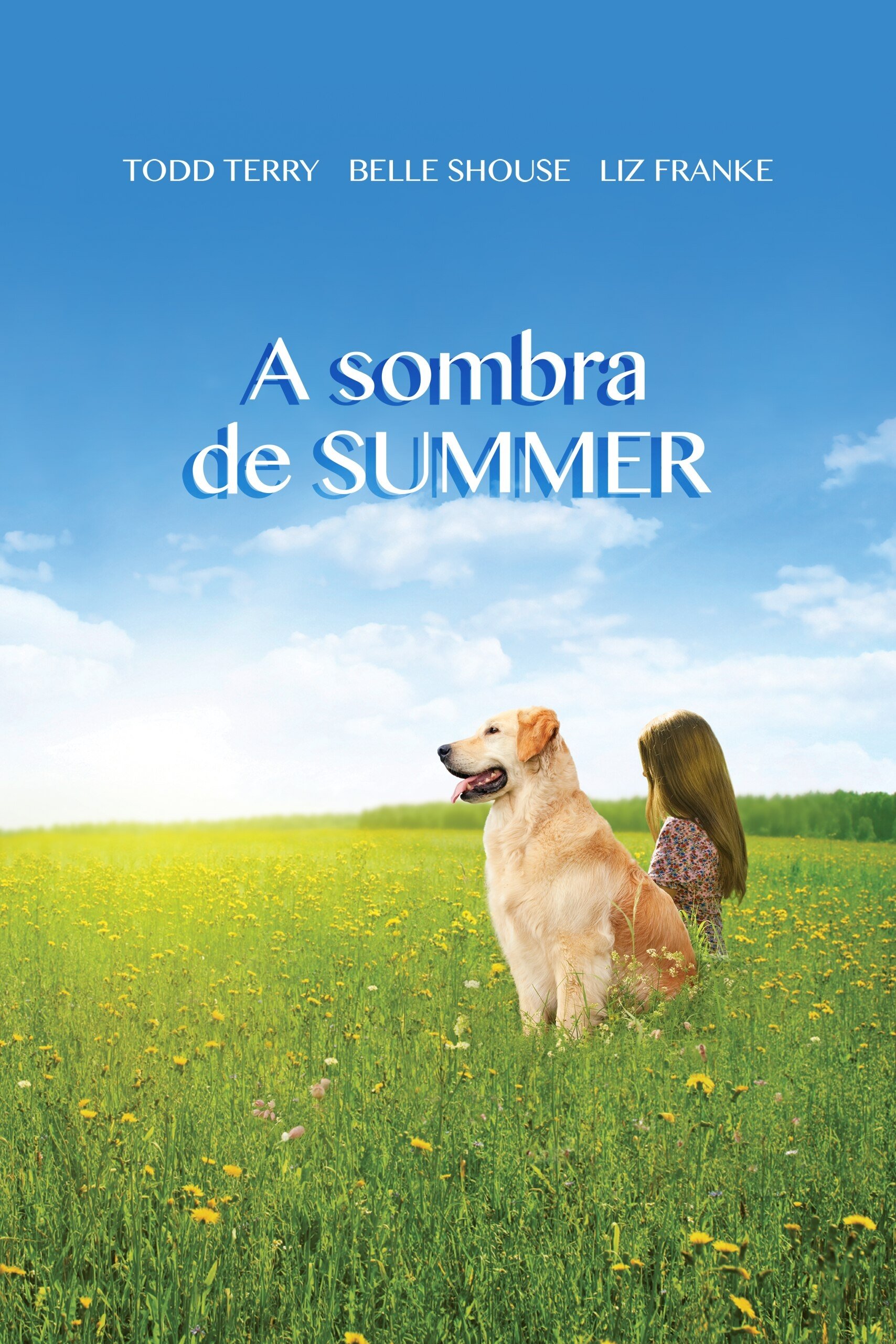 Poster de A Sombra de Summer