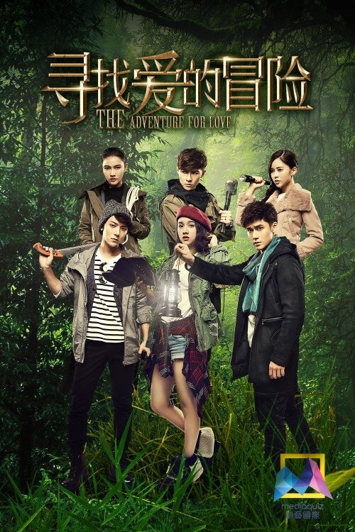 Poster de 寻找爱的冒险