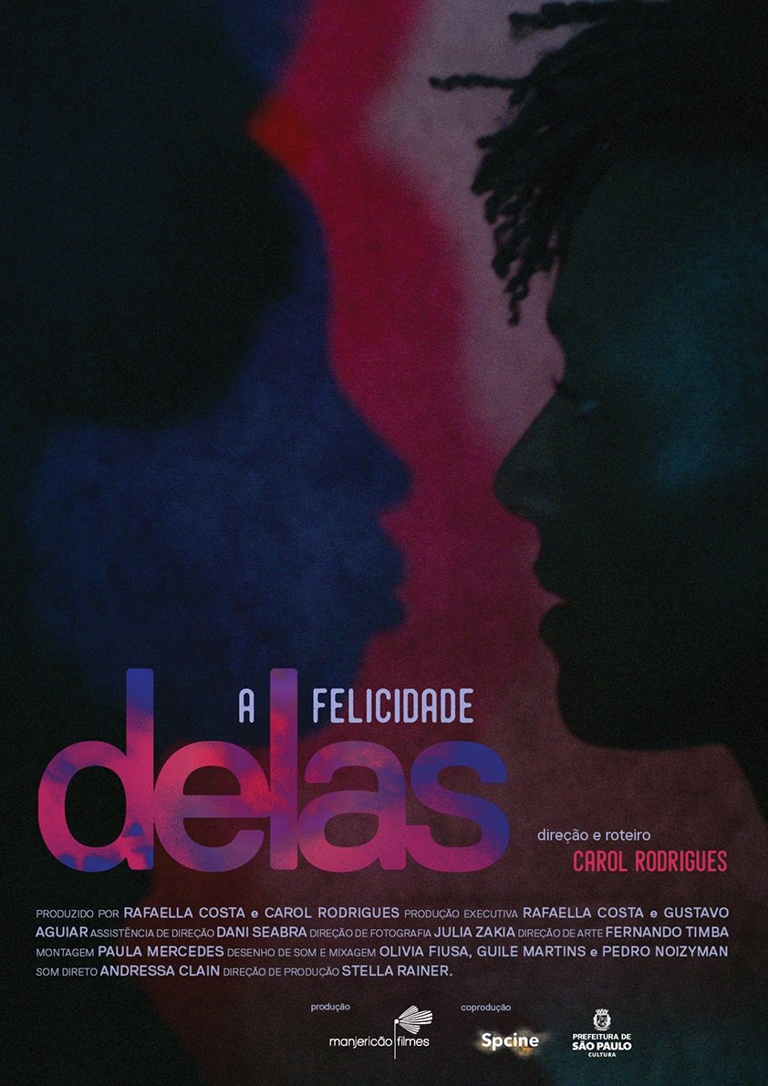 Poster de A Felicidade Delas