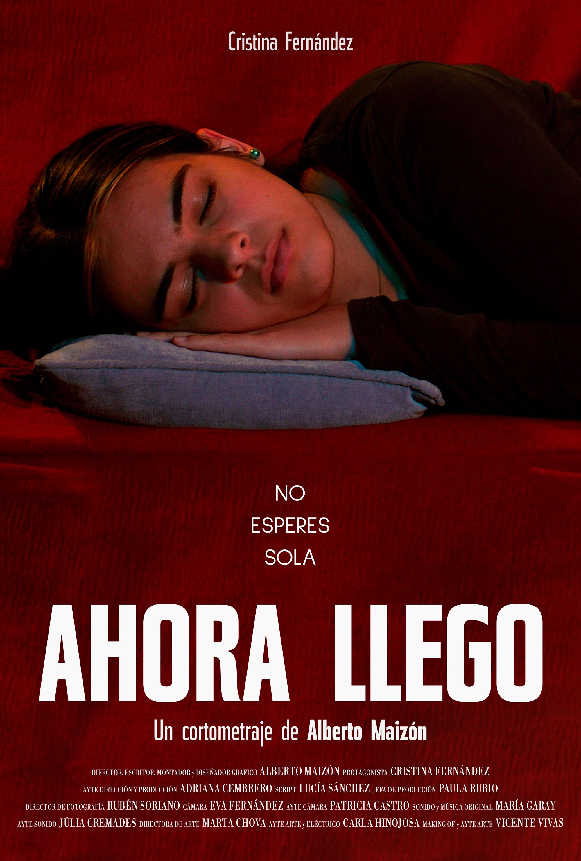 Poster de Ahora llego