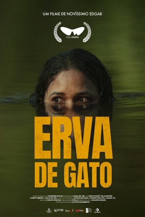 Poster de Erva de Gato