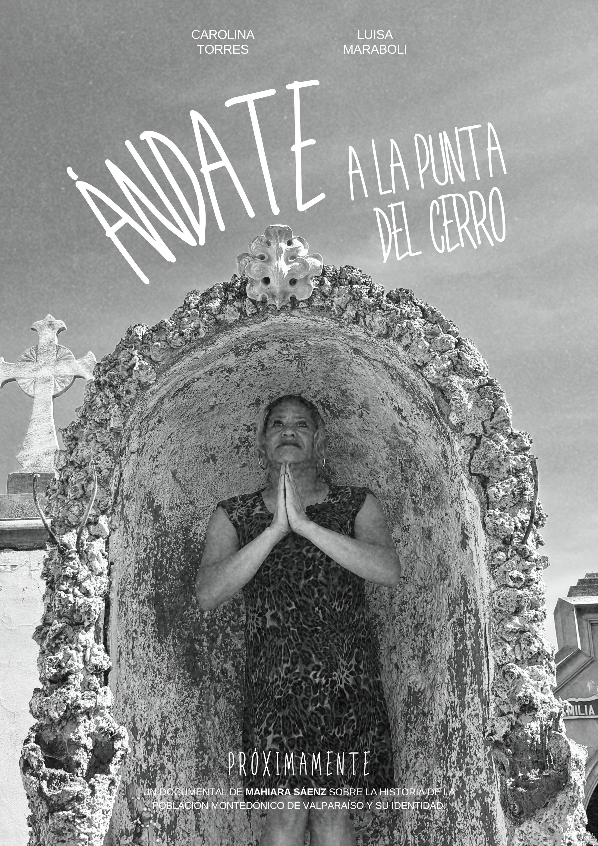 Poster de Ándate a la punta del cerro