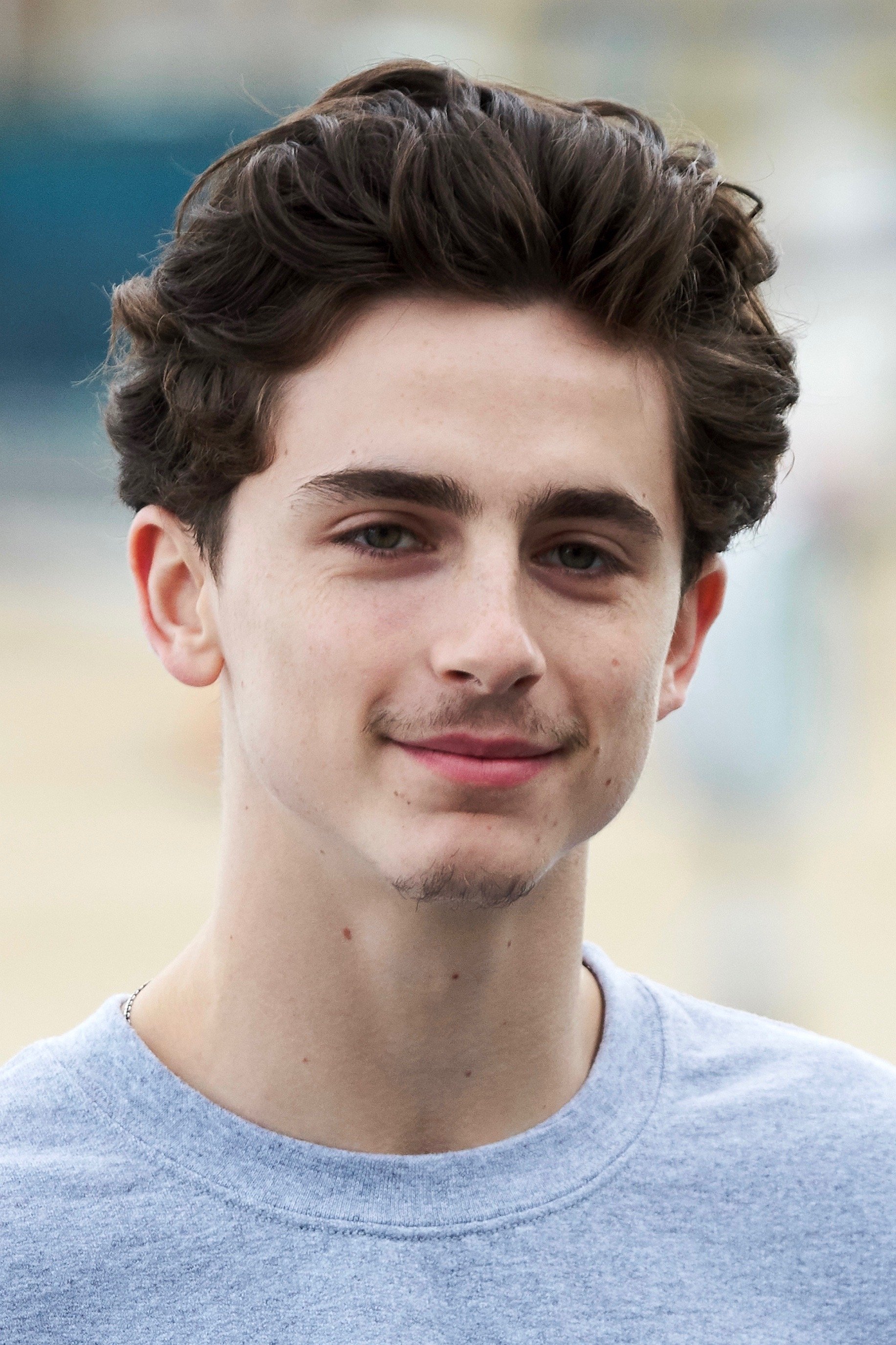 Foto de Timothée Chalamet