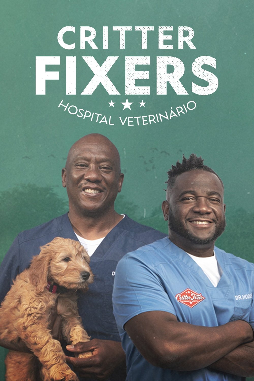 Poster de Temporada 5