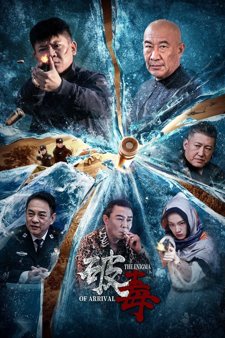 Poster de 破毒
