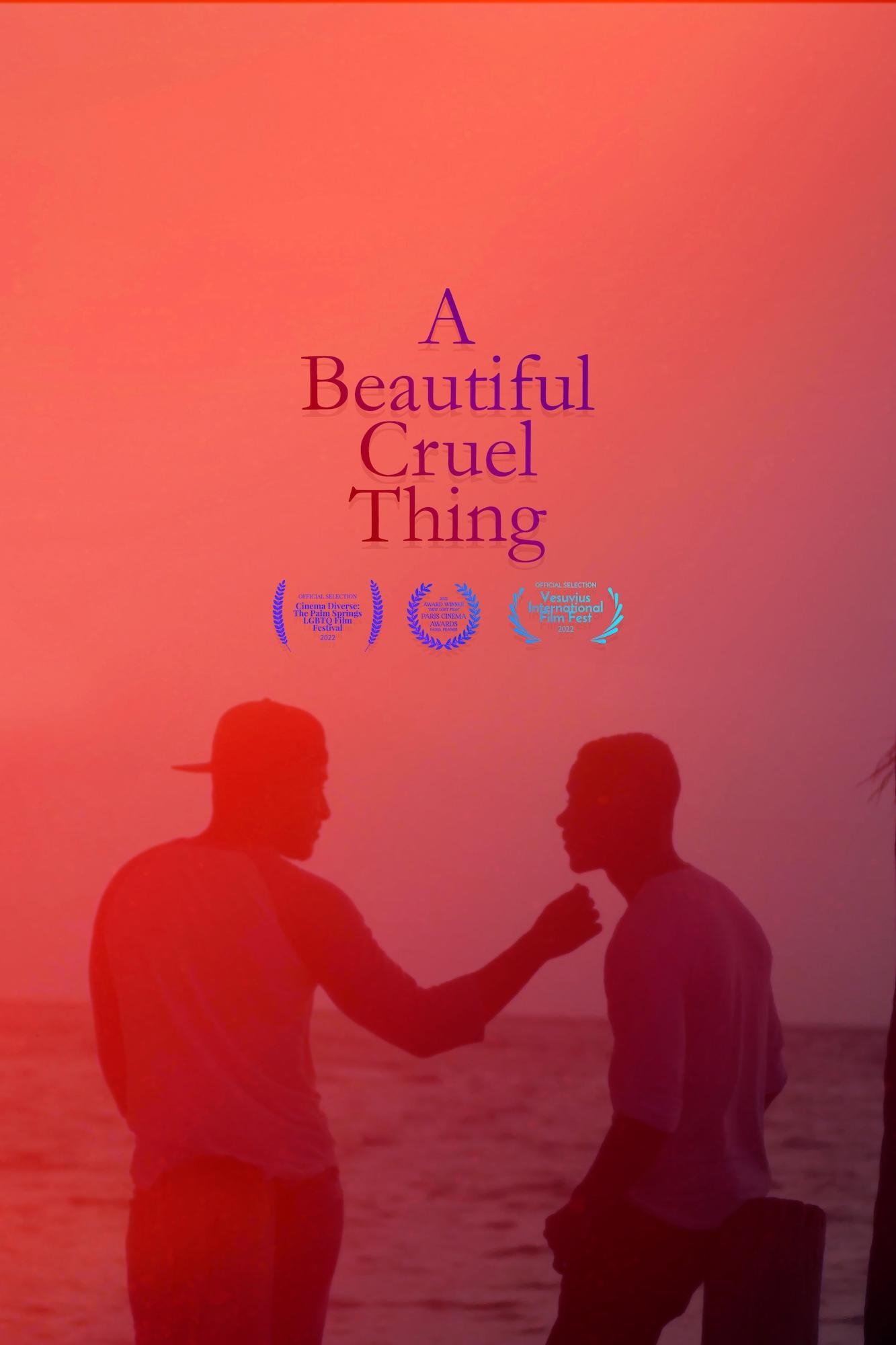 Poster de A Beautiful Cruel Thing