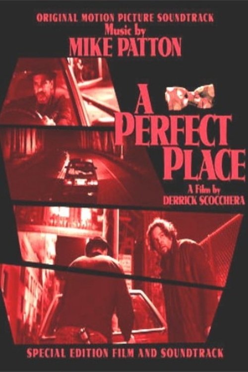 Poster de A Perfect Place