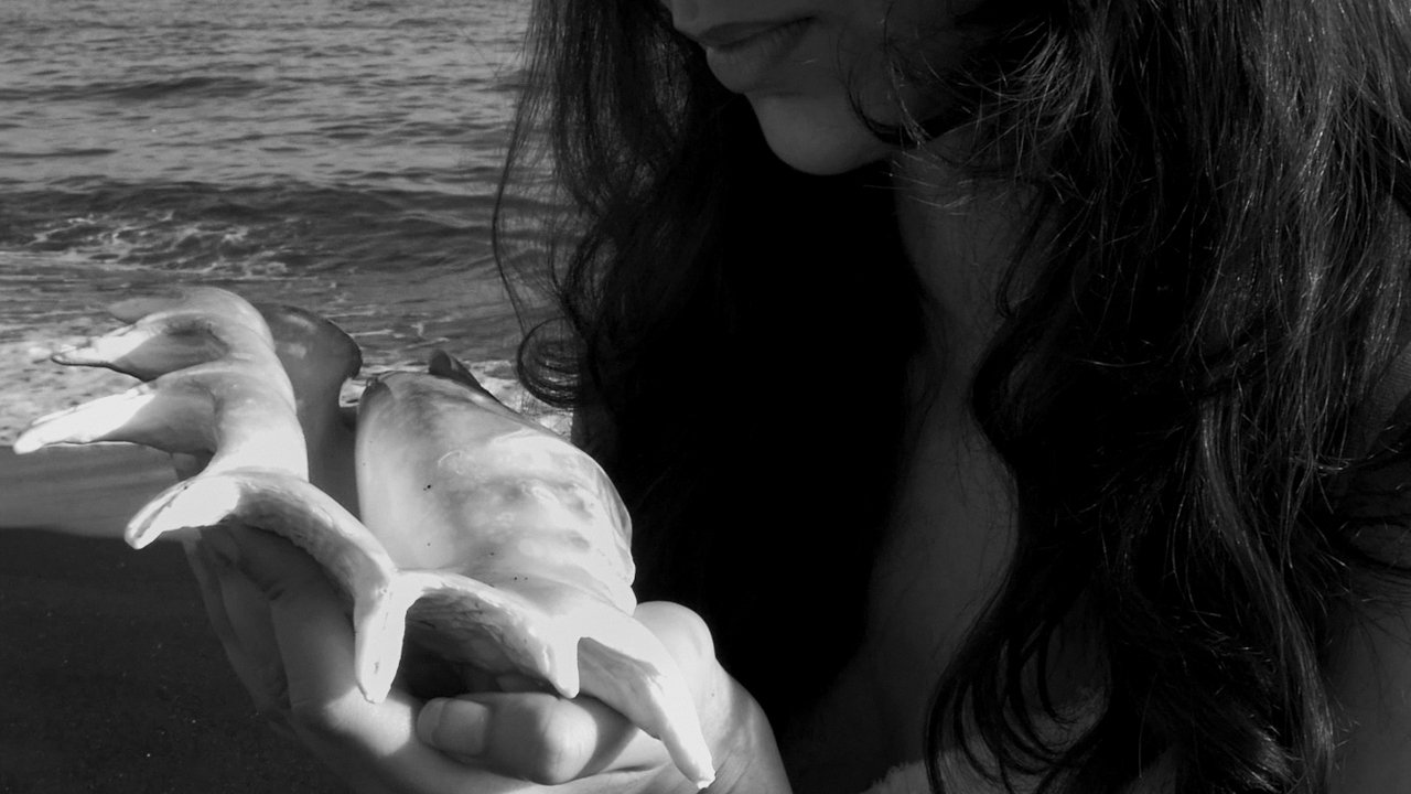 Song to the Siren