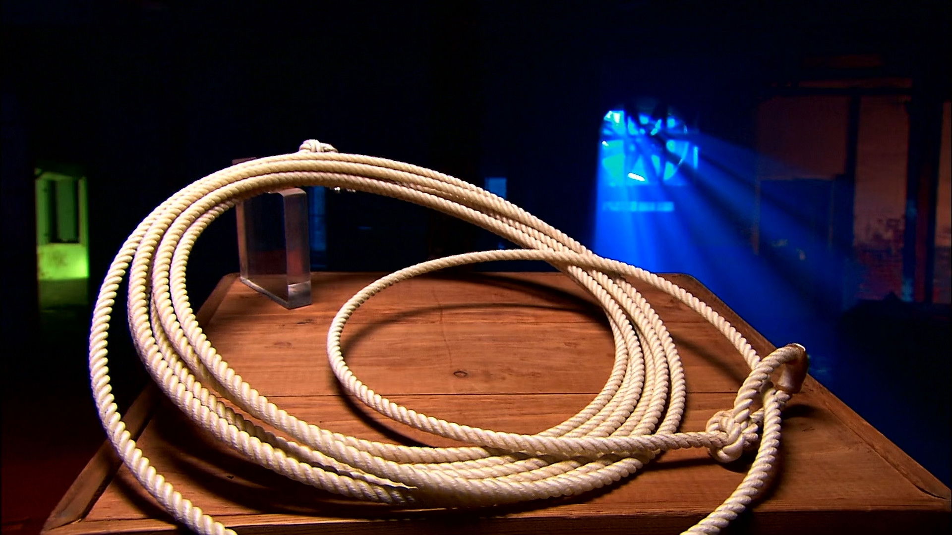 Robotic Hunting Decoys, Canned Tomatoes, Scoreboards, Lassos