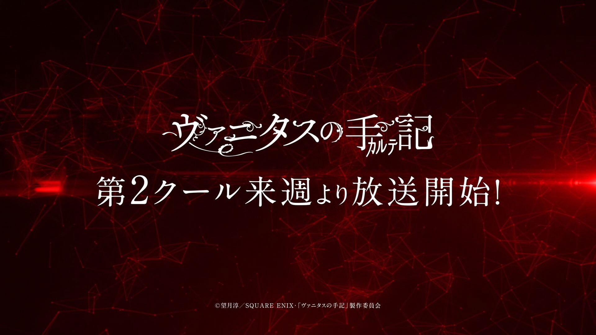 The Case Study of Vanitas 12.5