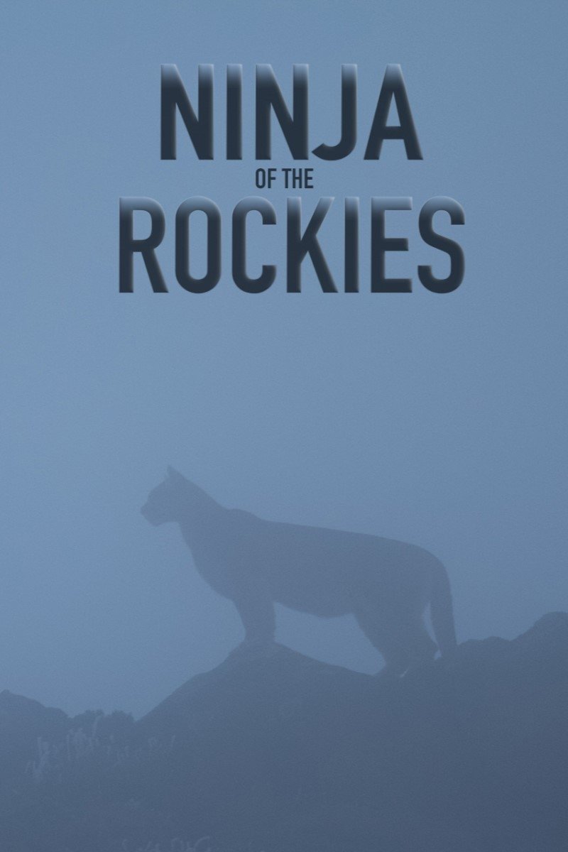 Poster de Ninja of the Rockies