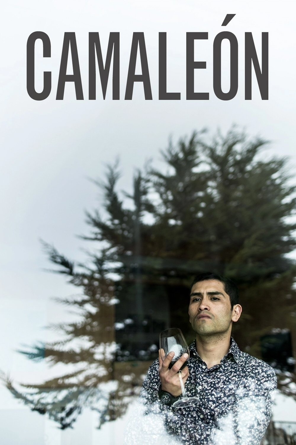Poster de Camaleón