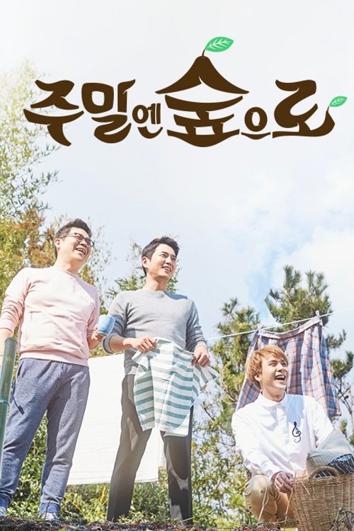 Poster de 주말엔 숲으로