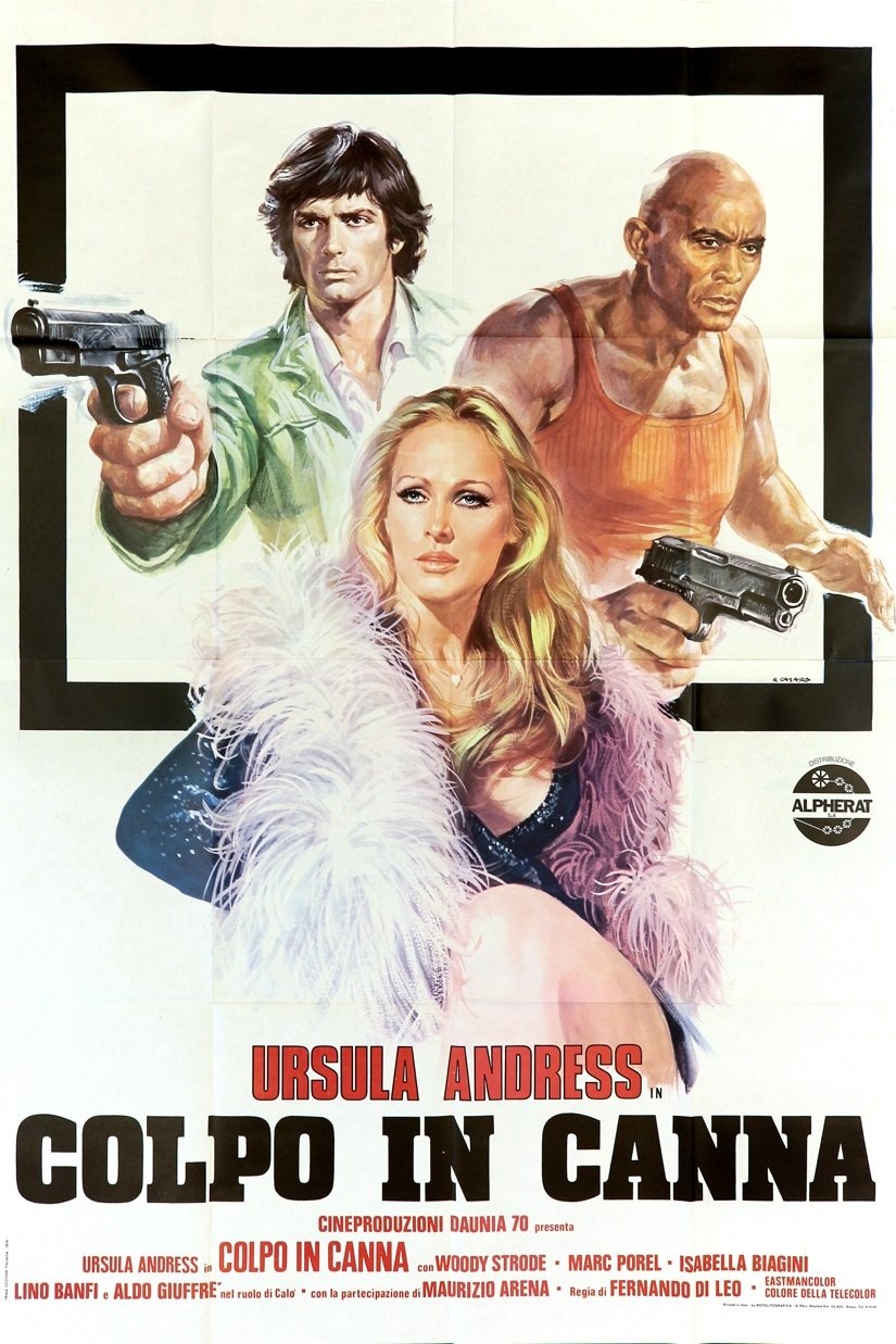 Poster de O Golpe da Virgem