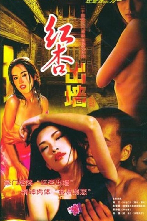 Poster de 红杏出墙记